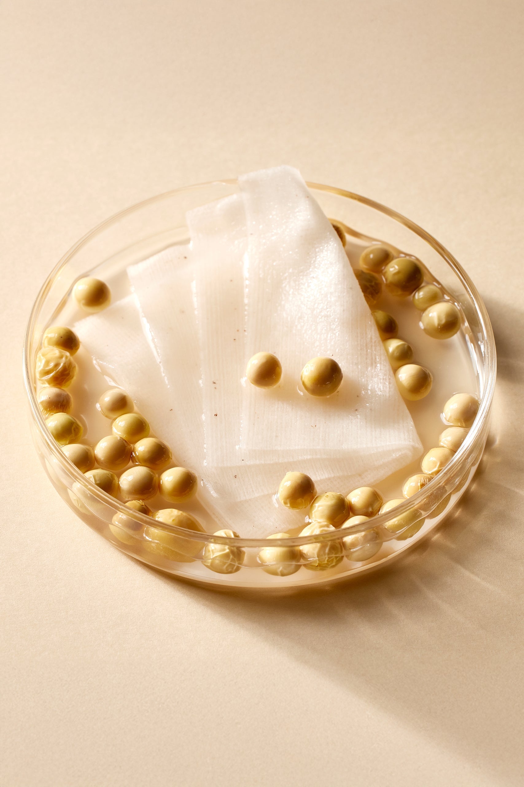 Bean Toner Pad - Dischete tonice pentru fata cu extracte fermentate - HER